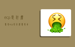 ecp是什么意思,ecp是什么意思车上的