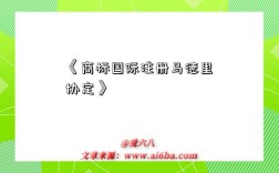 《商标国际注册马德里协定》