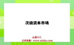 次级资本市场