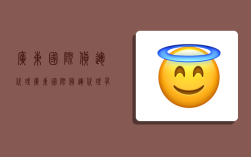 广东国际货运代理,广东国际货运代理有限公司