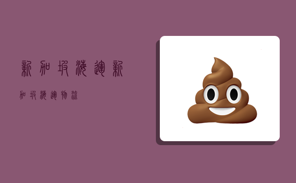 新加坡海运,新加坡海运物流-图1 新加坡海运,新加坡海运物流-图1