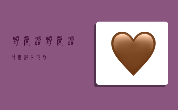 野营灯,野营灯什么牌子的好-图1 野营灯,野营灯什么牌子的好-图1