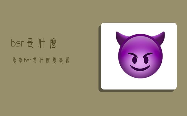 bsr是什么意思,bsr是什么意思蓝色衣服-图1
