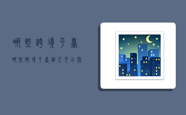 哪些跨境平台,哪些跨境平台个人可以开店-图1 哪些跨境平台,哪些跨境平台个人可以开店-图1