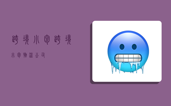 跨境小包,跨境小包物流公司-图1 跨境小包,跨境小包物流公司-图1