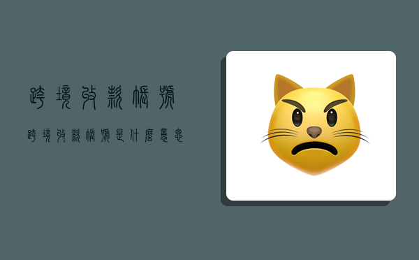 跨境收款账号,跨境收款账号是什么意思-图1 跨境收款账号,跨境收款账号是什么意思-图1