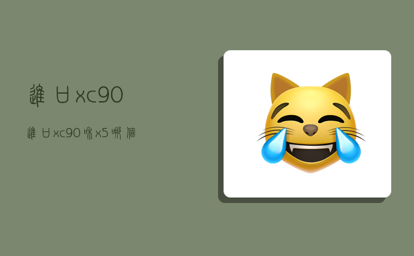 进口xc90,进口xc90和x5哪个档次高-图1 进口xc90,进口xc90和x5哪个档次高-图1