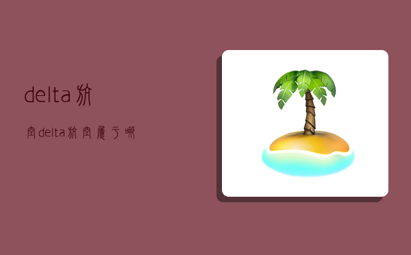 delta航空,delta航空属于哪个联盟-图1 delta航空,delta航空属于哪个联盟-图1