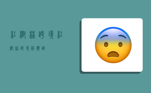 红树林跨境,红树林跨境供应链-图1