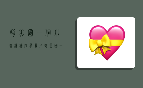 到美国一个小柜海运所有费用,到美国一个柜海运费多少钱-图1 到美国一个小柜海运所有费用,到美国一个柜海运费多少钱-图1