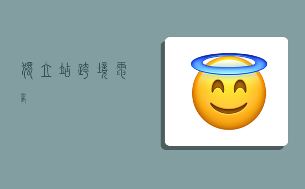 独立站 跨境电商,-图1 独立站 跨境电商,-图1
