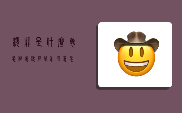 海关是什么意思,隶属海关是什么意思-图1