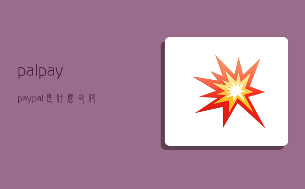 palpay,paypal是什么支付-图1