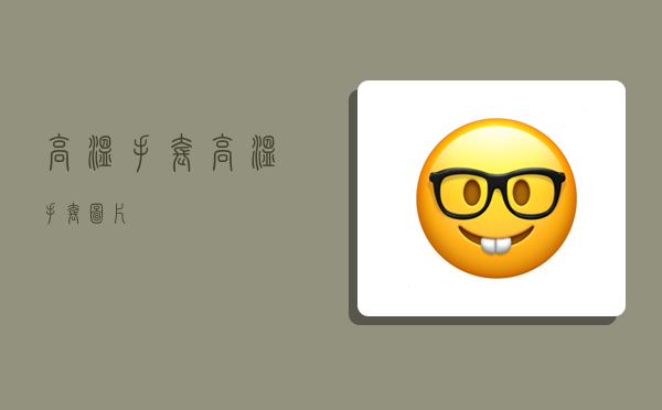 高温手套,高温手套图片-图1 高温手套,高温手套图片-图1