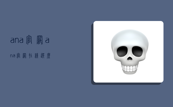 ana官网,ana官网在线选座-图1