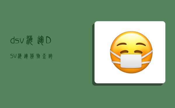 dsv海运,DSV海运货物查询-图1 dsv海运,DSV海运货物查询-图1