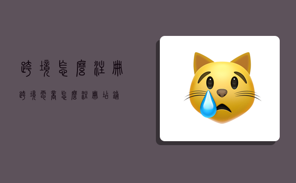 跨境怎么注册,跨境电商怎么注册店铺-图1 跨境怎么注册,跨境电商怎么注册店铺-图1