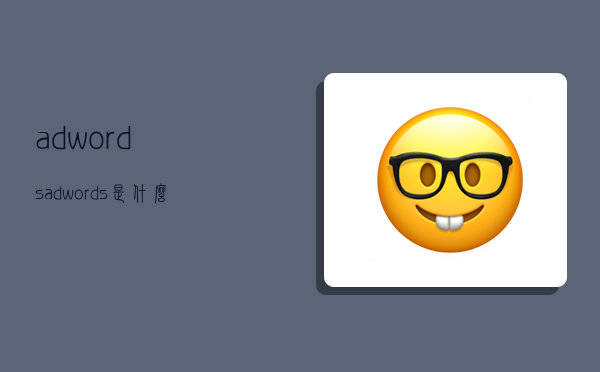 adwords,adwords是什么-图1