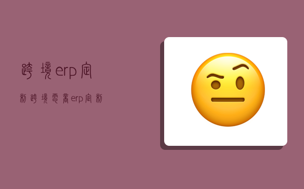 跨境erp定制,跨境电商erp定制-图1