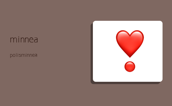 minneapolis,minneapolis是美国哪里-图1 minneapolis,minneapolis是美国哪里-图1