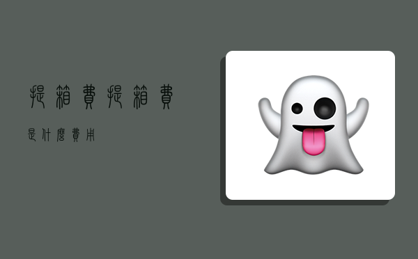 提箱费,提箱费是什么费用-图1 提箱费,提箱费是什么费用-图1