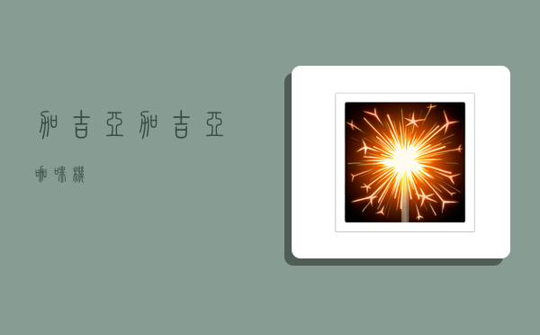 加吉亚,加吉亚咖啡机-图1 加吉亚,加吉亚咖啡机-图1