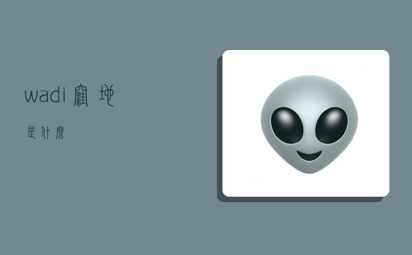 wadi,洼地是什么-图1 wadi,洼地是什么-图1