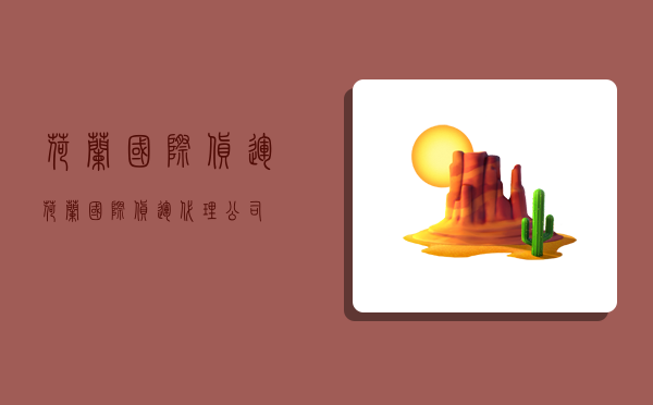 荷兰国际货运,荷兰国际货运代理公司-图1