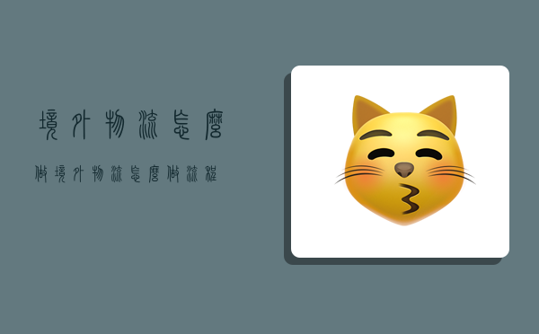 境外物流怎么做,境外物流怎么做流程-图1