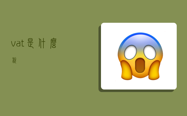 vat是什么税,-图1