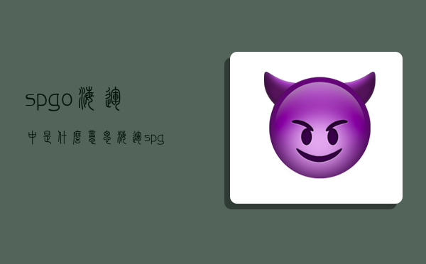 spgo海运中是什么意思,海运spgo是什么费用-图1