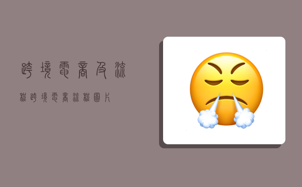 跨境电商及流程,跨境电商流程图片-图1 跨境电商及流程,跨境电商流程图片-图1