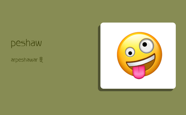 peshawar,peshawar是哪个城市-图1