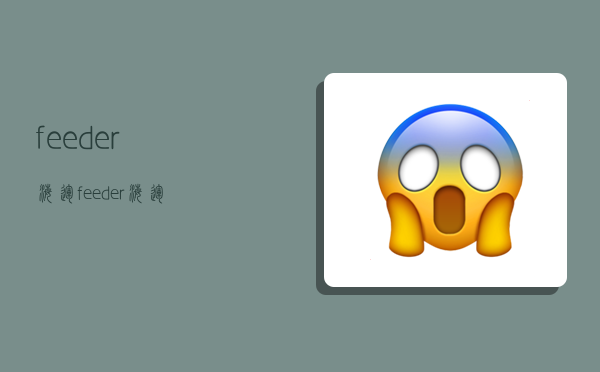 feeder 海运,feeder海运-图1