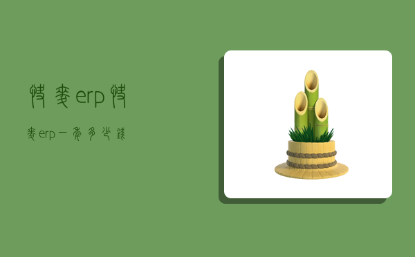快麦erp,快麦erp一年多少钱-图1 快麦erp,快麦erp一年多少钱-图1