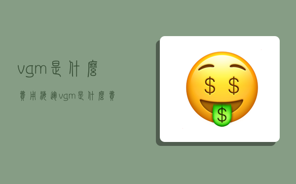 vgm是什么费用,海运vgm是什么费用-图1