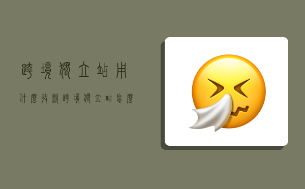 跨境独立站用什么收款,跨境独立站怎么收款-图1