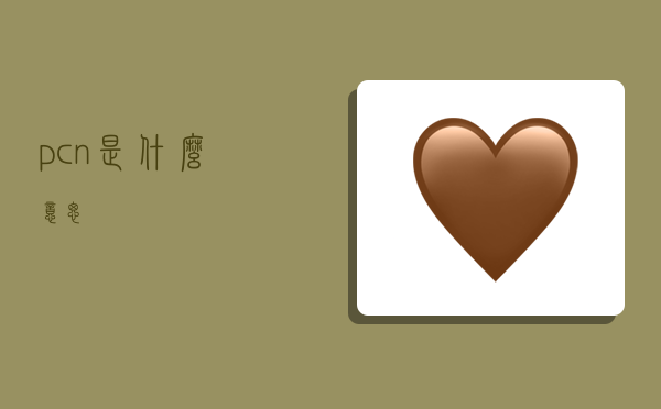 pcn是什么意思-图1 pcn是什么意思-图1