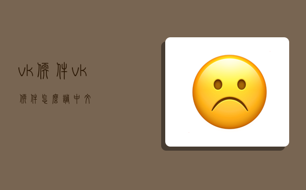 vk软件,vk软件怎么调中文-图1