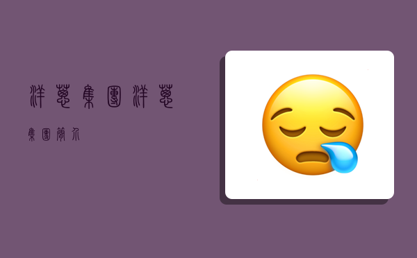 洋葱集团,洋葱集团简介-图1 洋葱集团,洋葱集团简介-图1