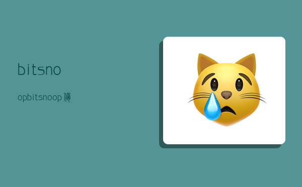 bitsnoop(bitsnoop备份)-图1 bitsnoop(bitsnoop备份)-图1