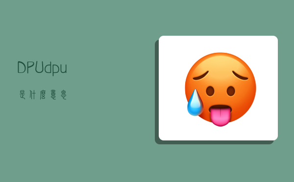 DPU,dpu是什么意思-图1 DPU,dpu是什么意思-图1