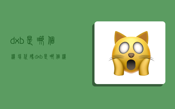 dxb是哪个机场代码,dxb是哪个机场代码的缩写-图1