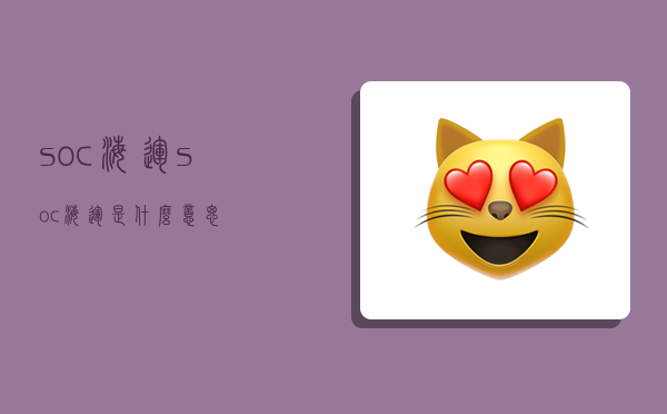 soc 海运,soc海运是什么意思-图1 soc 海运,soc海运是什么意思-图1
