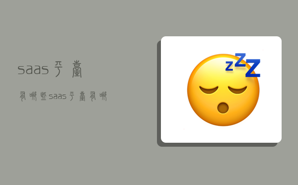 saas平台有哪些,saas平台有哪些公司-图1 saas平台有哪些,saas平台有哪些公司-图1