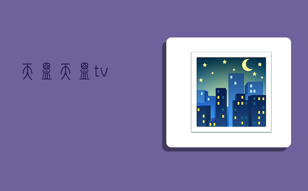 天盟,天盟tv-图1