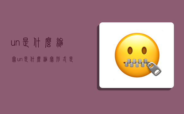 un是什么缩写,un是什么缩写形式是什么意思-图1