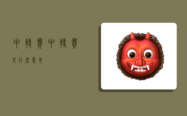 中转费,中转费是什么意思-图1