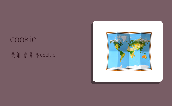 cookie是什么意思,cookie是什么意思英语-图1