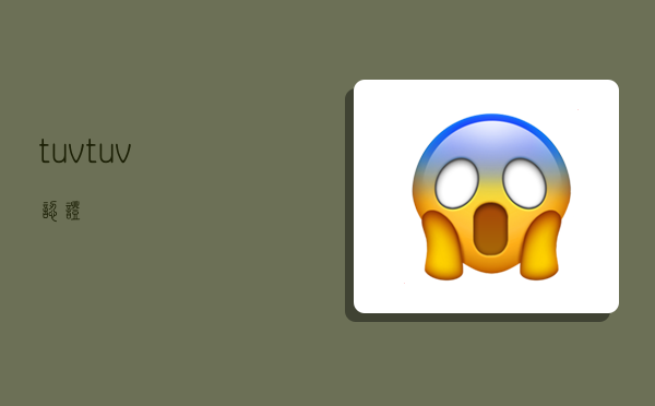 tuv,tuv认证-图1 tuv,tuv认证-图1